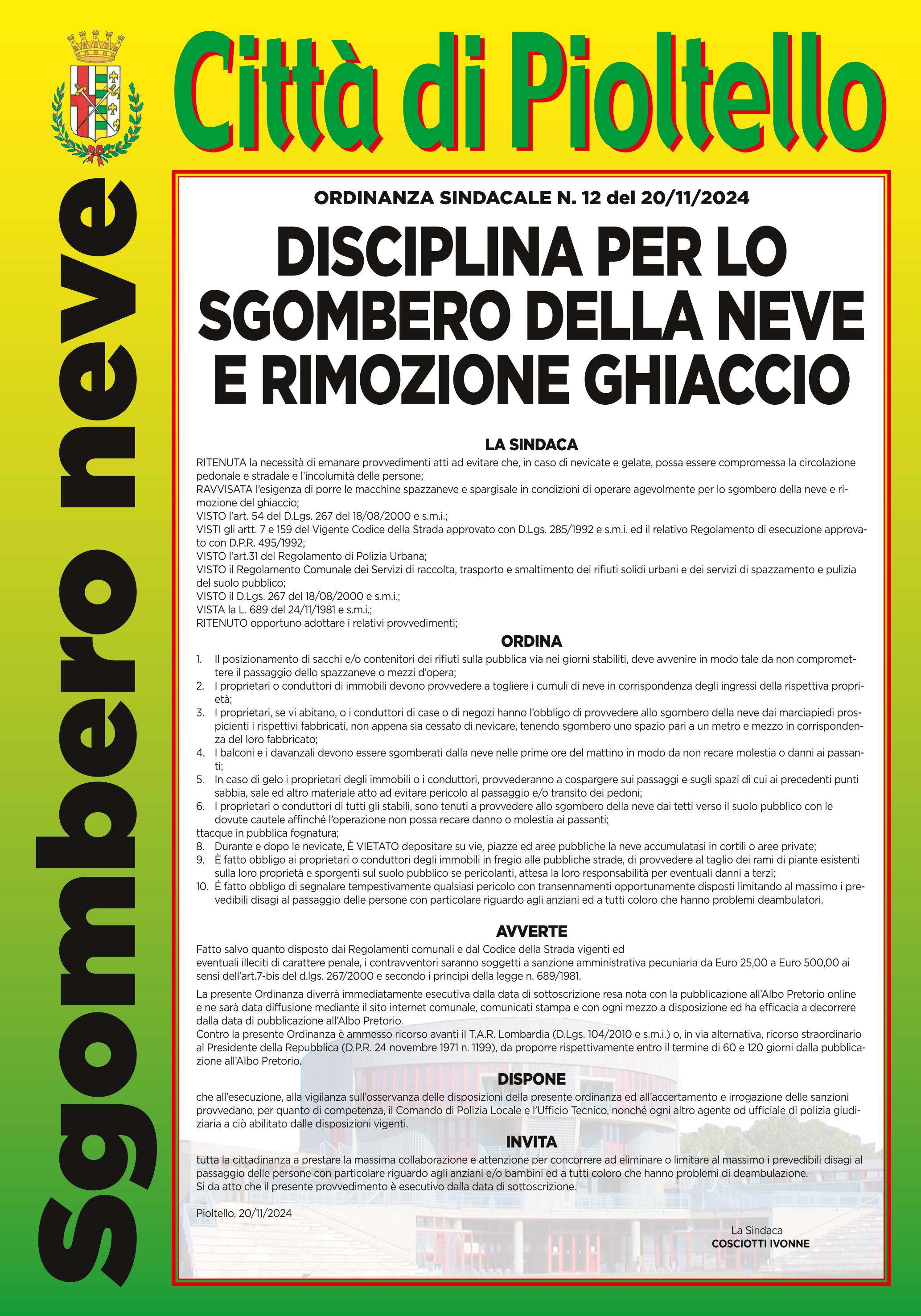 Disciplina per lo sgombero della neve e rimozione ghiaccio