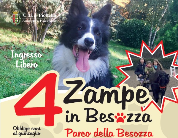 12 maggio, torna “4 zampe in Besozza” NUOVO APPUNTAMENTO
