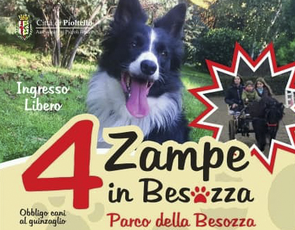4 Zampe in Besozza - AVVISO IMPORTANTE! 